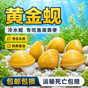 �S��͘�����~ʺ�S���ˮ�Ӱ���ˮ�����ˮ�^�p�~�坍�����^�p��