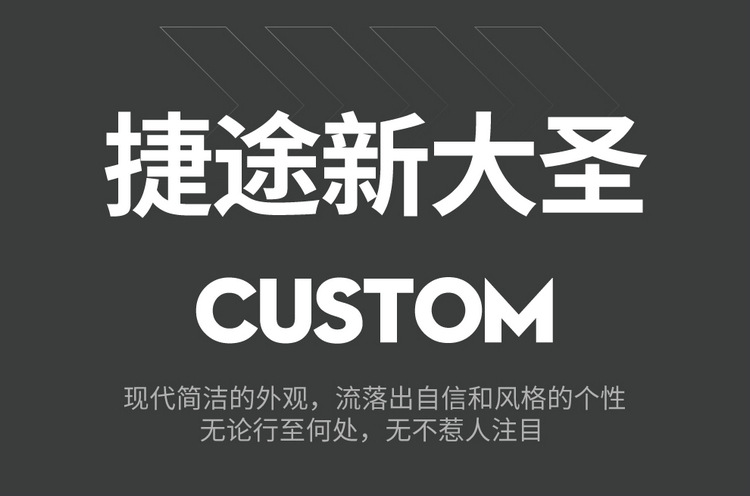 New special car Jietu New Great Sage Full Leather Car Seat Cushion Four Seasons Factory Outlet One Piece