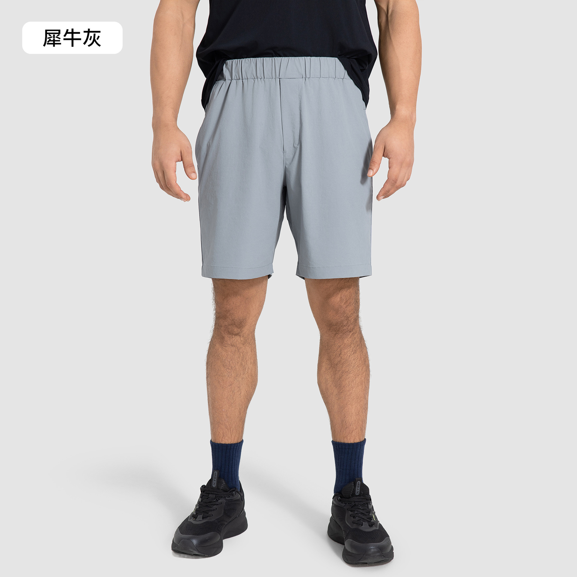 코뿔소 회색