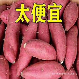 ��9�_�ⳬ��ɳ������Ŵ�t��Ŵܛ�F�ڷ������]�F�l�����عϷ�ɽ��