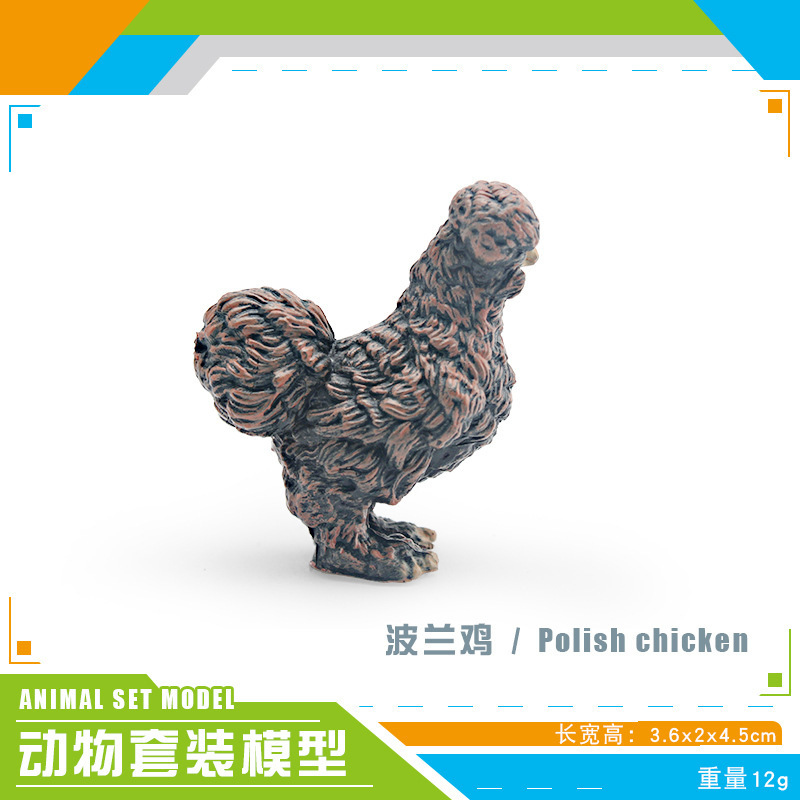 Pl127 - 2940 pollo polaco 12g