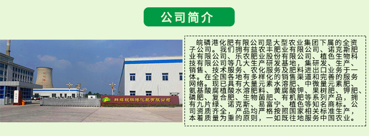 14详情公司简介