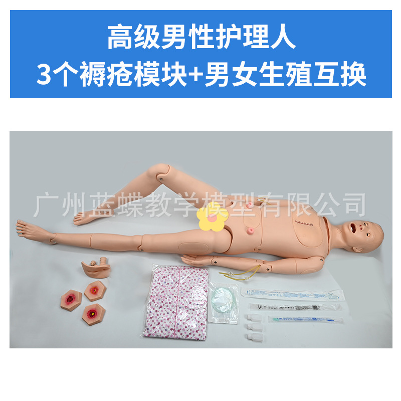 ҽѧģ����ģ�Ͷ๦�ܻ�������ģ�ػ�����ѵ������Ƥ�����ķθ���