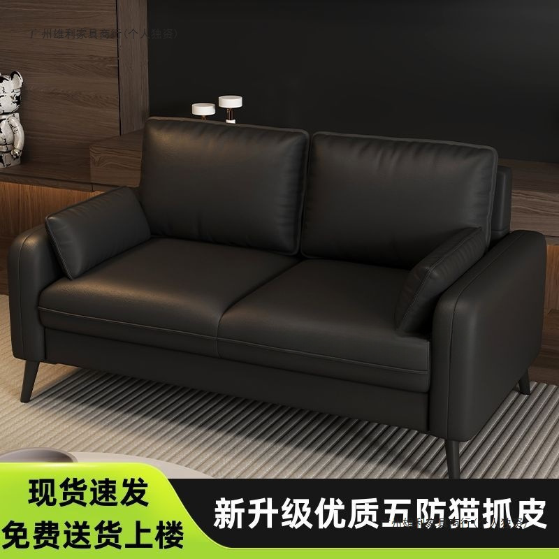 Nordic Double Sofa Small Apartment Home Apartment Rental Office Rest Area Reception Technology Cloth Small Sofa