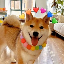 ins�L�����朏����K��ɫë�򹷹��»������朾W�t���������Ʒ