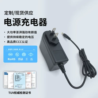 4.2V2A3A4A锂电池充电器3.7V聚合物钓鱼灯18650手电全球通用