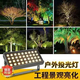 投光灯;水底灯;埋地灯