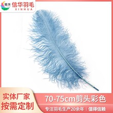 厂家直销70-75cm修头彩色鸵鸟羽毛舞台演出白色羽毛多色羽毛diy