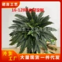 仿真跨境蕨类植物绿植