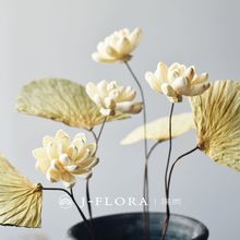 �L��ɏ���ɻ�˯ɏ�ɻ��b�Ʒ�[����ʽ�Ҿ�ܛ�b���⻨��ͨ�ݻ���Ʒ