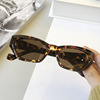 Sunglasses, fashionable retro universal glasses, European style, cat's eye