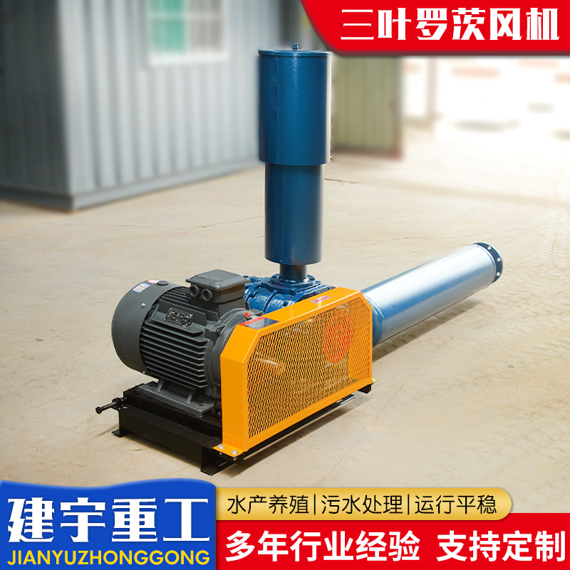 供应三叶罗茨风机铸铁曝气增氧气力输送污水处理用鼓风机节能高效
