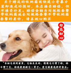 Pet Dog Biscuits Snacks Teddy Gold Teeth Teeth Teeth Teeth Cleaning Bad breath Training Reward Puppy Small Dog Wholesale