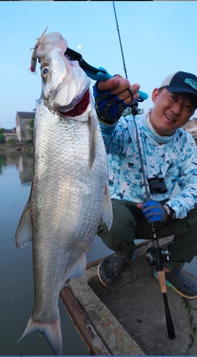 ad2bf635-0bcb-4d05-a561-9b14ead8ea3c.jpe