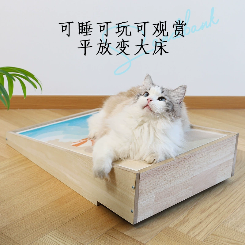 Легкий экстравагантный пляж высокого чувства