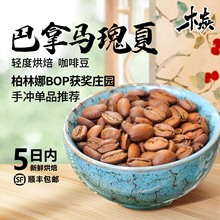 ��Ʒ �����Rˮϴ���� BOP�@��ׯ�@ �֛_��؛ �����p�Ⱥ決 ���ȶ�