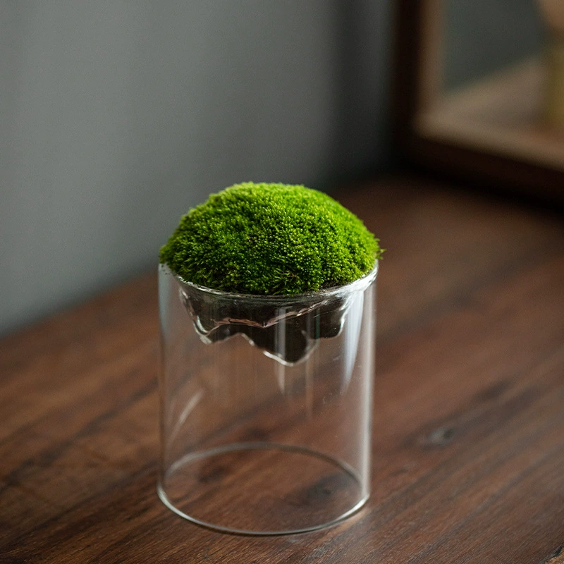 Прозрачная бутылка из боросиликатного стекла с мхом, красивая креативная бутылка для гидропонных растений, украшение для рабочего стола, микропейзаж