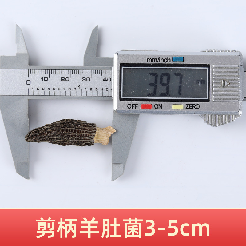 첫 번째 그루터기 3-5 가위 손잡이 모렐 500g