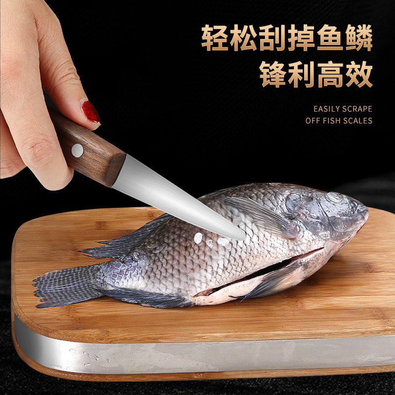 Peel de acero inoxidable para picar peces y camarones, cuchillo multifuncional para picar camarones, cuchillo multifuncional para picar camarones, cuchillo multifuncional para picar camarones, cuchillo multifuncional para picar camarones image 4