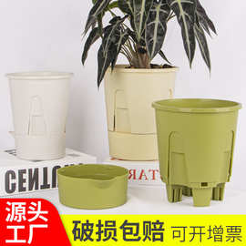 新款懒人自吸水花盆透气控根盆蝴蝶兰花盆加厚免浇水盆栽花盆