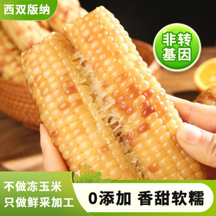 ��Ŵ�������p��{���r��ŴС��������b��ʳܛŴ���׌W����������