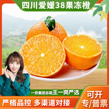 �����x���Ĵ�����̖������ ���l3/9�����r���Ӯ�������Ƥ����֭