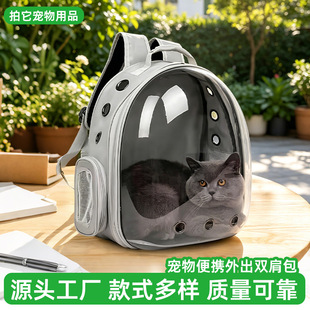 �¿�һ�w����ȫ��̫��œ؈�����������������y͸���p��؈؈����