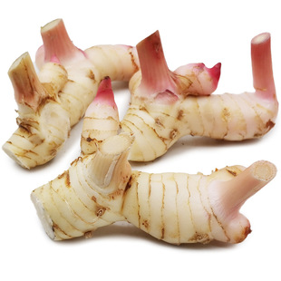 ���x���] ̩����Ƥ���r�Ͻ�ɳ��  ̩������ �JȔ�� ɽ������