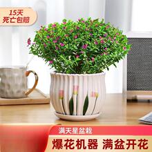 �M�������Ԏ����������r����ֲ���҃��̨�������ļ��_�����B�׻�