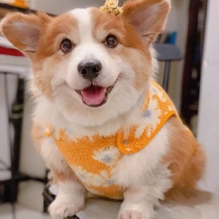 ������b�����·������»����m��ܛ��ţ�ջ��Ӻ�q��