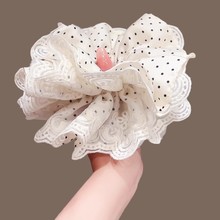 �nϵ�r�в��c�ٽz��߅�lȦ��ʽ�������^�l�K2025�¿��Ƥ��l�K