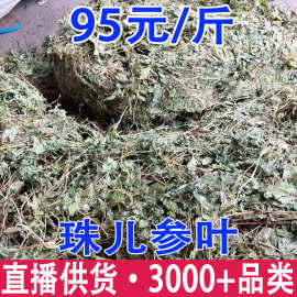 珠儿参叶 珠子参叶 珠子参叶珠儿参扣子七新货批发代发