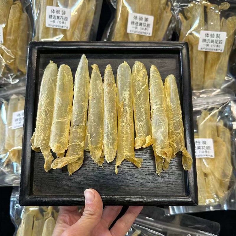 批发小黄花胶筒散装200头规格一包10条体验装黄花胶鱼胶花胶优质