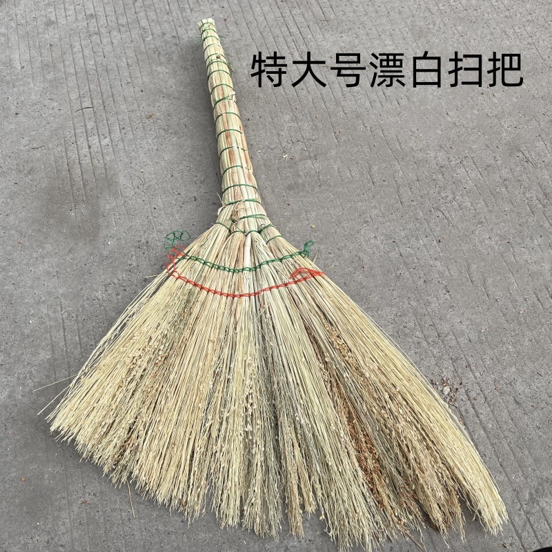 微信图片_20240306202252_副本