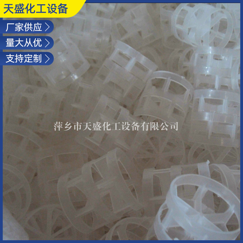 现货供应 聚丙烯鲍尔环38mm 厂家塑料聚丙烯批发