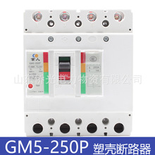 北京人民电器GM5-250P Y1D 200A250A 光伏直流塑壳断路器DC1000V