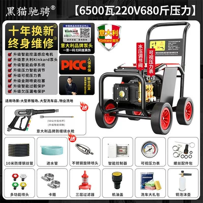 Car washing machine: Machine 220v Ultra-High Pressure Washer - italian-brand-pump-head220v65kwprofessional-commercial-apressure-340kg-flow-rate-25-literswith-10m-hose