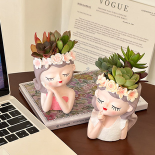 Scandinavian Style Fairy Succulent Large Diameter Flower Pot Creative Garden Dried Flower Arrangement Living Room Potted Decorative Ornaments