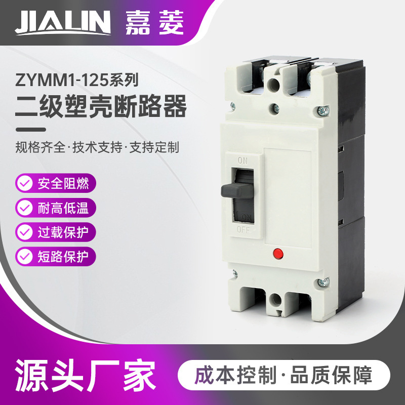 Zymm1-125 Series Secondary Plastic Case Circuit Breaker Low Voltage 200A Two-Phase Single-Phase 500-1000 2P Zymm1-125 Series Secondary Plastic Case Circuit Breaker Low Voltage 200A Two-Phase Single-Phase 500-1000 2P