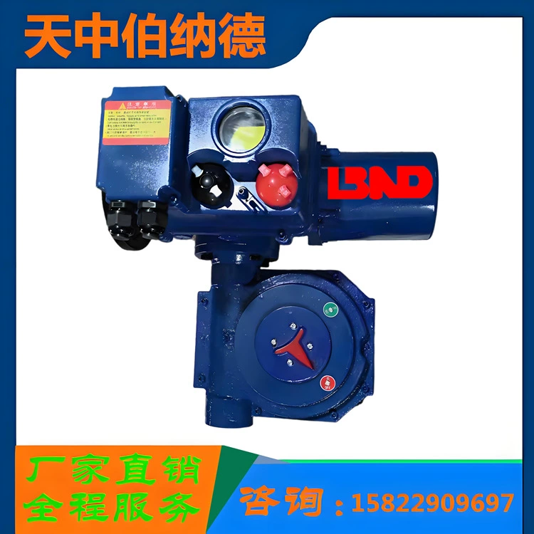 Прямые поставки с завода электрического привода Bernard с угловым ходом и прямым подключением A+RS100/F30Z