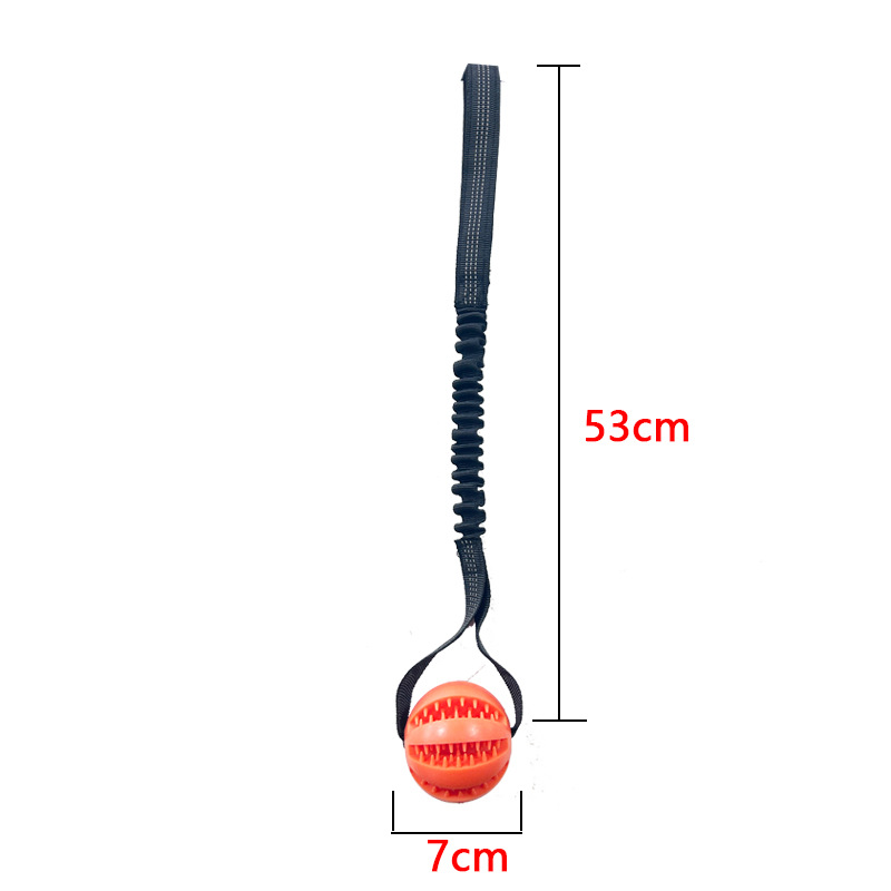 Perro fugas de comida bola puzzle mordida resistente dientes dorados corky para aliviar el aburrimiento juguetes de bolas elásticas al aire libre lanzamiento de entrenamiento image 7