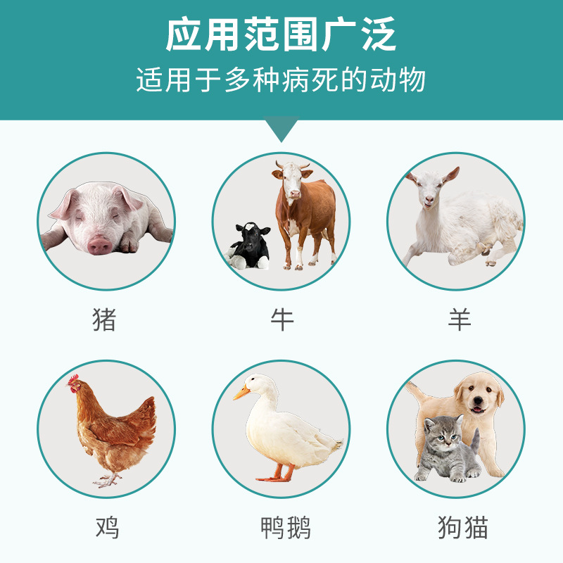 Bolsa de cadáver de animal engrosada, bolsa de tratamiento inofensiva para cerdos enfermos y muertos, bolsa de cerdo muerto degradable, bolsa de cerdo