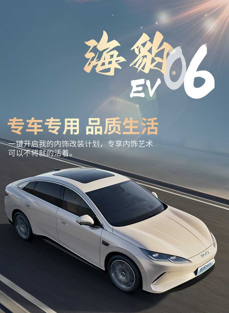 BYD Seal 06EV Special Seat Covers, All-Season Universal Full-Coverage Perforated Breathable Car Seat Cushions and Seat Covers