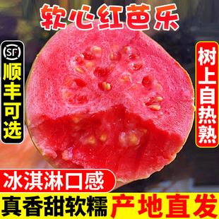 �V��ܛŴ�t�İŘ�5�����rˮ����ʯ�����ܛŴ��֬�t�͘�������]3