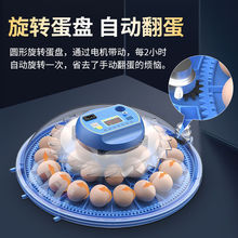 小飞碟孵蛋器芦丁鸡孵化器小型家用全自动智能鹦鹉鸡蛋鸟蛋孵化箱