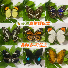 ������˱�չ��G�����P�����x���յ��ߔ[���׃��@�̌W�F؛�ٰl