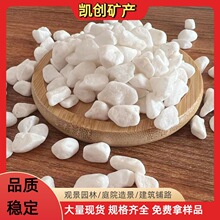 白色石子园林造景铺路装饰用白色石子 碎石水磨石砾石石子大量批