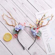 �}�Q�¿���¹���^���l����l����Ů�������֦�l�����յ���