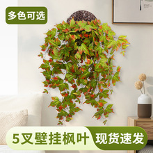 ����ֲ����~�ڒ��ٗl�����������m�b����쾰�ٻ���c����