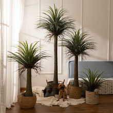 ٘Ѫ辰҃ȿ͏dؾGֲֲ쾰bƷ[滨